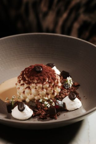 Photo of the hotel Sofitel Philadelphia at Rittenhouse Square: 79 dsc07185